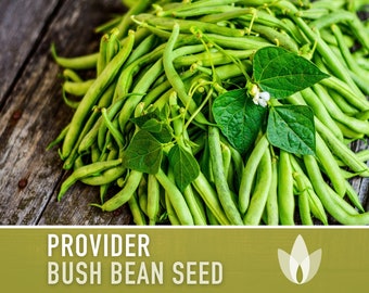 Provider Bush Bean Heirloom Seeds