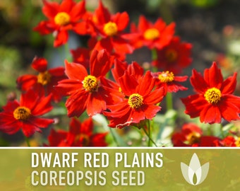 Dwarf Red Plains Coreopsis Flower Seeds, Heirloom, Native, Flower Seeds, Pollinator Garden