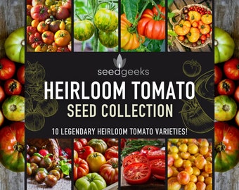 Heirloom Tomato Seed Collection - A 5-Star Selection of 10 Legendary Heirloom Tomatoes, Seed Kit, Gift for Gardener, OP, Non-GMO