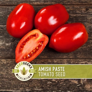 Amish Paste Tomato Seeds - Tomate en sauce ancienne, sans OGM