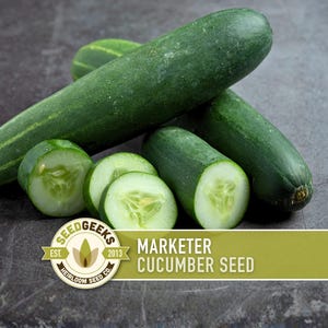 Marketer Cucumber Seeds | 30+ Seeds, Open-Pollinated, Non-GMO, Heirloom, AAS Winner, Slicing, Organic, Cucumis sativus image 1