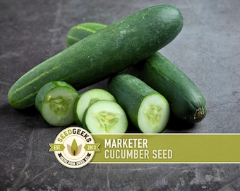 Marketer Cucumber Seeds | 30+ Seeds, Open-Pollinated, Non-GMO, Heirloom, AAS Winner, Slicing, Organic, Cucumis sativus