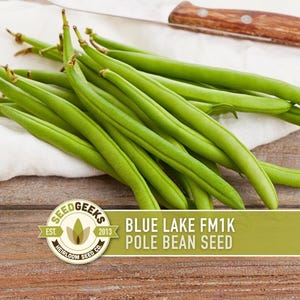 May include: A pile of fresh, vibrant green Blue Lake FM1K pole beans on a white cloth, with a wooden-handled knife in the background. The image includes a logo that reads "Seed Geeks" and "Heirloom Seed Co."