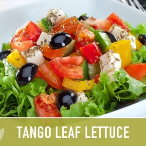 Tango Oakleaf Lettuce Seeds – Heirloom, Cold Tolerant imagem 5