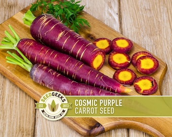 Cosmic Purple Carrot Seeds | 150+ Seeds, Heirloom, Rainbow, Coreless, Easy Grow, Daucus carota sativus