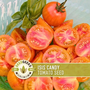 Isis Candy Cherry Tomato Heirloom Seeds