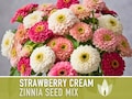 Zinnia, Strawberry Cream Mix Heirloom Seeds - Flower Seeds, Flower Mix, Lemon Zinnia, Mixed Zinnia, Wedding Flowers