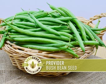 May include: A wicker basket filled with fresh, bright green Provider bush beans. The beans are long and slender. The basket has a woven design and is on a burlap surface. The image includes a logo that says "Seed Geeks" and "Provider Bush Bean Seed".