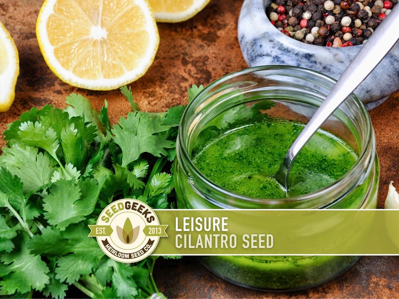 a jar of green liquid, likely a herb-based dressing, surrounded by fresh cilantro leaves, lemon slices, and a bowl of spices.