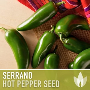 Serrano Tampiqueno Hot Pepper Heirloom Seeds