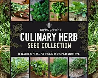 Culinary Herb Heirloom Seed Collection – 10 Flavorful Varieties