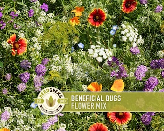 BULK Beneficial Bug Blooms Seed Mix – Heirloom Wildflower Seeds, 1lb