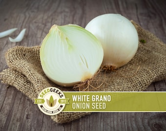 Graines d'oignon blanc Grano - Doux, jours courts, héritage