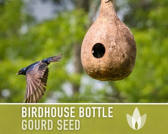 Birdhouse Bottle Gourd Seeds - Heirloom Seeds, Vining Squash Seeds, Bottle Gourd, Open Pollinated, Non-GMO