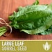 see more listings in the Herb Seeds section