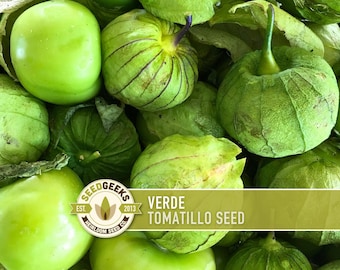 Verde Tomatillo Seeds | 25+ Seeds, Heirloom Non-GMO, Salsa Canning, Sweet Tangy Flavor, Physalis ixocarpa