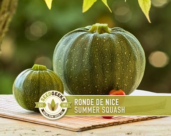 Round Zucchini Squash Seeds – Heirloom, Compact Variety