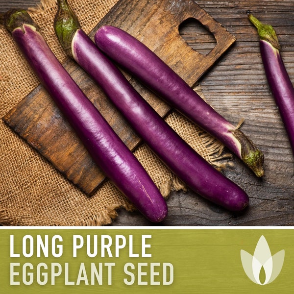 Long Purple Eggplant Seeds - Heirloom Seeds, Asian Heirloom, Thin Purple Skin, Mild Flavor, Solanum Melongena, Open Pollinated, Non-GMO