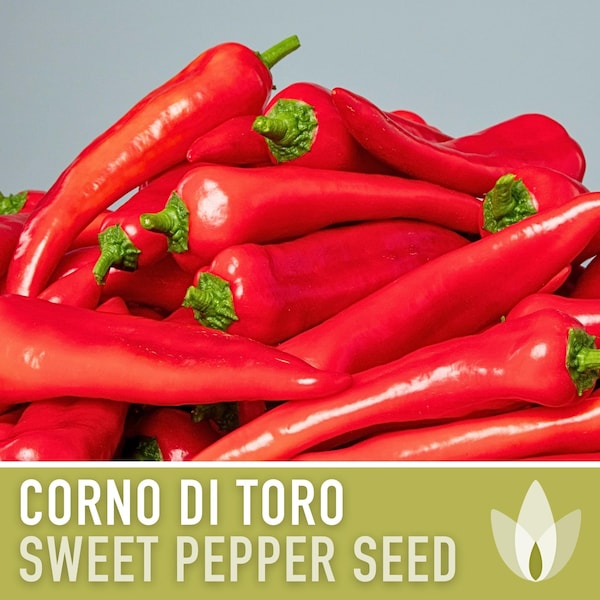 Corno Di Toro Rosso Sweet Pepper Heirloom Seeds