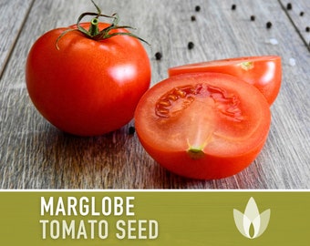 Marglobe Tomato Heirloom Seeds