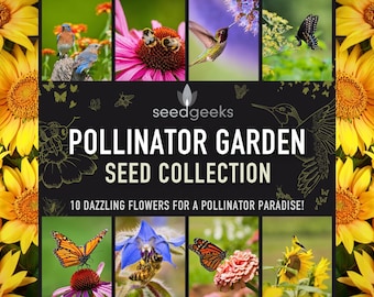 Könnte beinhalten: Eine Collage mit Bildern von Blumen, Schmetterlingen, Bienen und Vögeln. Der Text lautet "Pollinator Garden Seed Collection" und "10 Dazzling Flowers for a Pollinator Paradise!" für einen vielfältigen Garten.