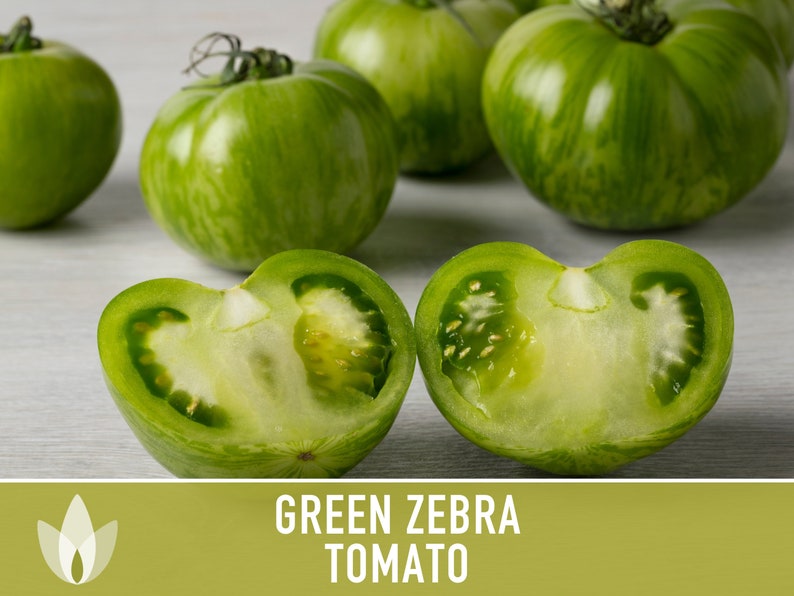 Green Zebra Tomato Seeds Heirloom, Indeterminate, Open Pollinated, Non-GMO image 4