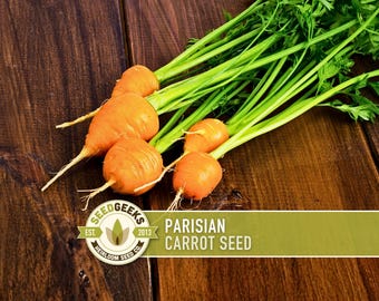 Semillas de zanahoria parisina - Reliquia francesa, jardín en maceta
