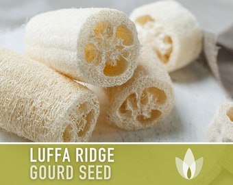 Luffa Ridge Gourd Seeds (Chinese Okra) Heirloom Seeds