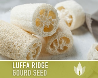 Luffa Ridge Gourd Seeds (Chinese Okra) Heirloom Seeds