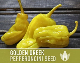 Golden Greek Pepperoncini Pepper Heirloom Seeds