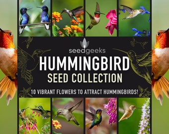 Hummingbird Flower Seed Collection - 10 Heirloom Nectar Varieties
