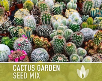 Cactus Garden Seed Mix - Graines d'héritage, vivaces, plantes indigènes du désert, plantes d'intérieur, faciles à cultiver, sans OGM