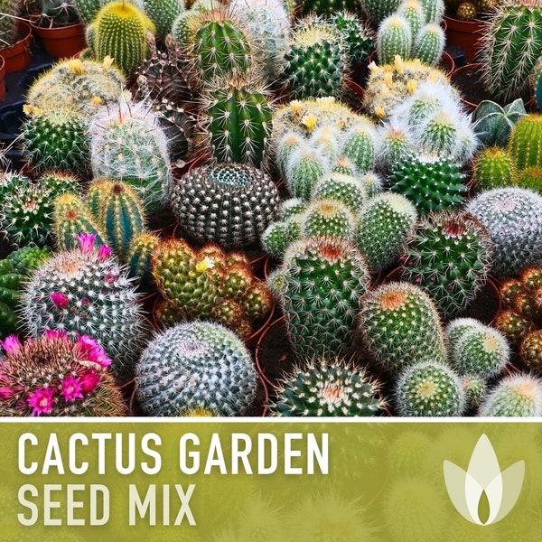 Cactus Garden Seed Mix - Heirloom Seeds, Perennial, Desert Native Plants, Houseplants, Easy To Grow, Non-GMO