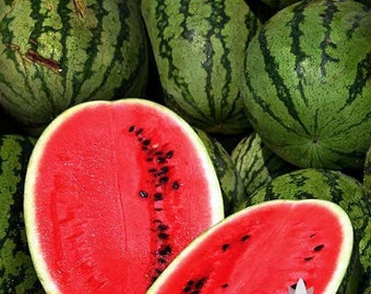 Allsweet Watermelon Heirloom Seeds - Non-GMO, Open Pollinated, Untreated