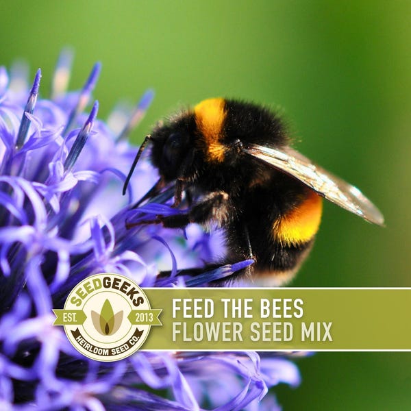 Feed the Bees Mix Heirloom Seeds, Flower Seeds, Wildflower