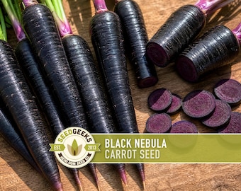 Black Nebula Carrot Seeds | Heirloom, Non-GMO, Gothic Garden, Daucus carota sativus