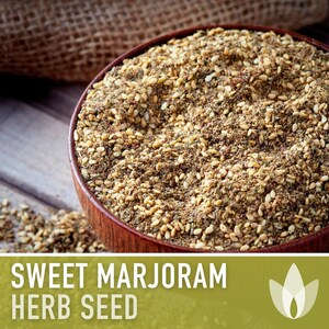 Sweet Marjoram Herb Seeds – Heirloom Culinary Herb, Non-GMO image 11