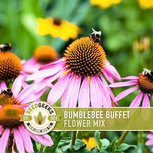 Mezcla de semillas de flores Bumblebee Buffet: semillas tradicionales, mezcla de flores silvestres, apta para polinizadores, jardín de abejas, sin OMG