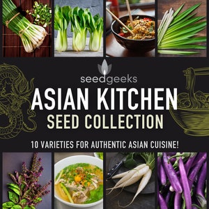 Asian Kitchen Seed Collection - 10 Hand-Selected Heirloom Seed Packets Perfect for Asian Cuisine, Gardener Gift, Stocking Stuffer, Seed Kit