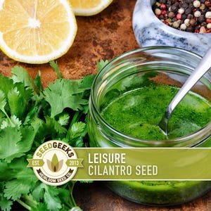 a jar of green liquid, likely a herb-based dressing, surrounded by fresh cilantro leaves, lemon slices, and a bowl of spices.