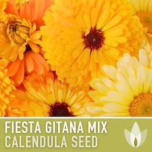 Calendula Officinalis, Fiesta Gitana Heirloom Seeds, Flower Seeds