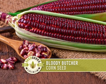 May include: Image of two ears of Bloody Butcher corn with dark red kernels, green husks, and a wooden spoon filled with kernels. The image includes the text "BLOODY BUTCHER CORN SEED" and the Seed Geeks logo.