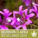 see more listings in the Flower Seeds section