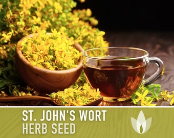 St. John's Wort Herb Seeds - Heriloom Seeds, Medicinal Herb Seeds, Pollinator Garden, Herbal Remedy, Open Pollinated, Non-GMO