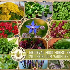 Può includere: Un collage di varie piante tra cui achillea gialla e rossa, verdure a foglia verde, un fiore di borragine blu ed erbe viola. Il testo recita SEEDGEEKS EST. 2013 HEIRLOOM SEED CO. MEDIEVAL FOOD FOREST SEEDS 20+ HEIRLOOM VARIETIES! in una cornice.