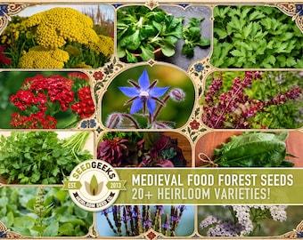 Medieval Food Forest Seeds | Old World Herbal Apothecary Garden Collection, Edible Flower, Medicinal Herb