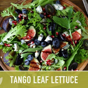 Tango Oakleaf Lettuce Seeds – Heirloom, Cold Tolerant imagem 7