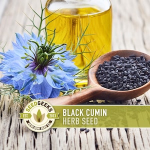 a wooden spoon filled with black cumin seeds, a blue flower, and a glass bottle of oil on a wooden surface.