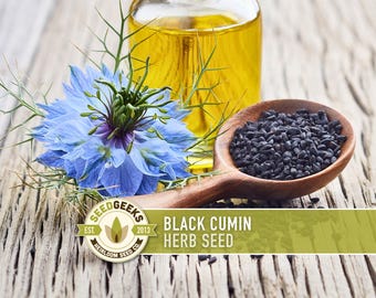 Black Cumin Herb Seeds – Nigella Sativa, Culinary & Medicinal