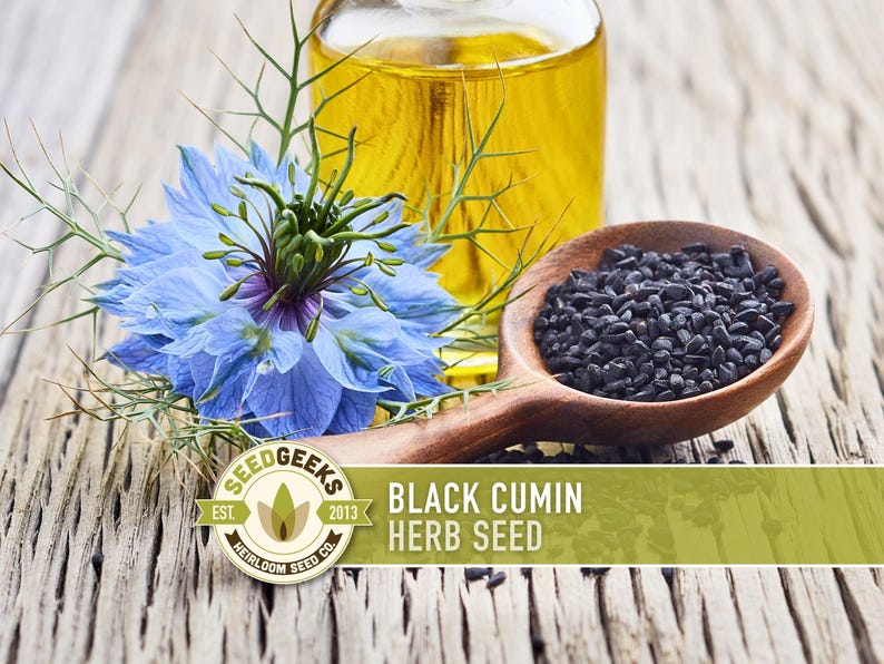a wooden spoon filled with black cumin seeds, a blue flower, and a glass bottle of oil on a wooden surface.